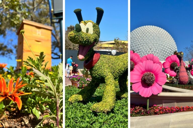 Food Guide to the EPCOT Flower and Garden Festival (2024): Full Menu, Prices, Overview