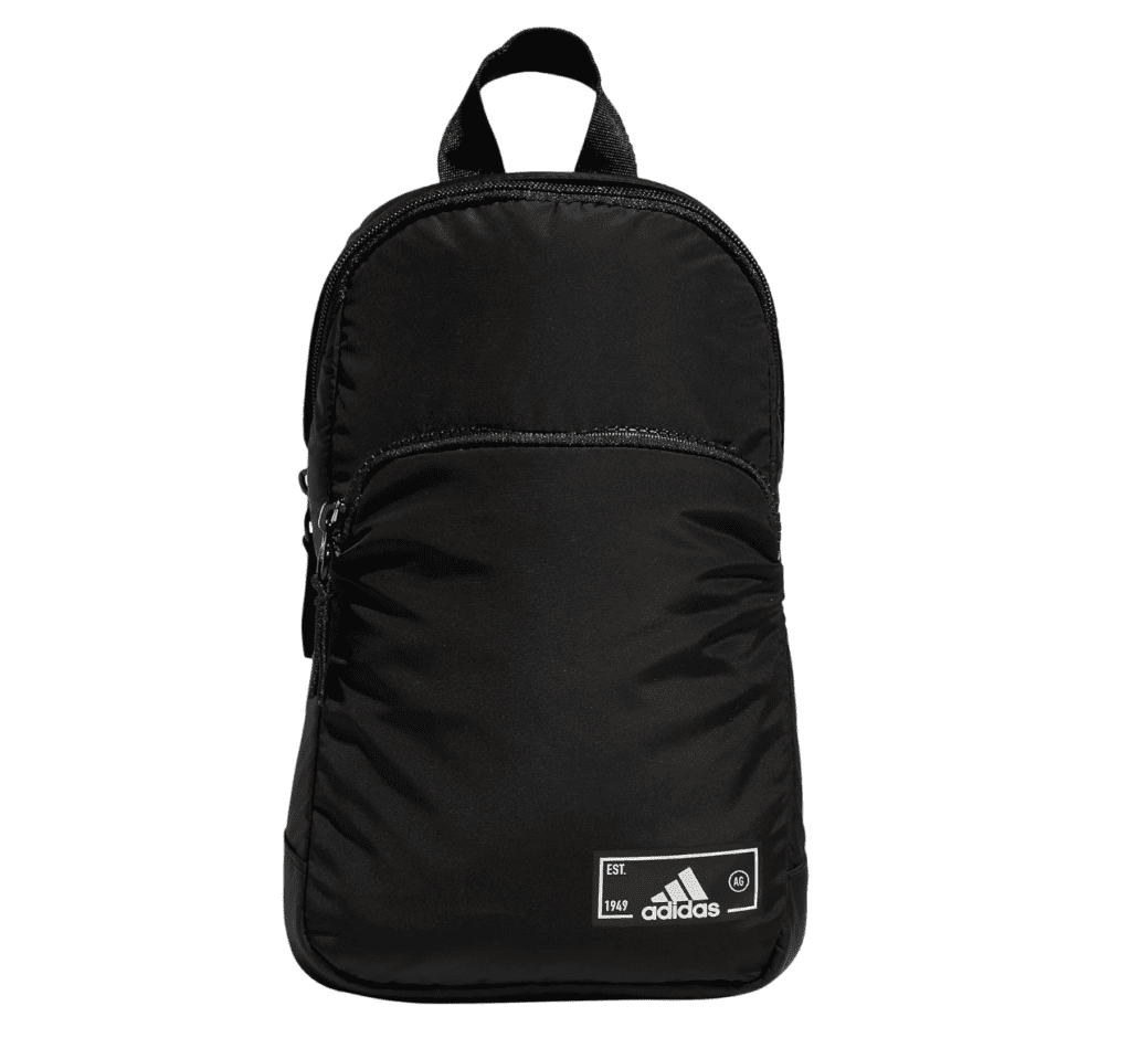 Backpack or Bag