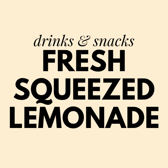 fresh squeezed lemonade fun spot orlando menu and prices