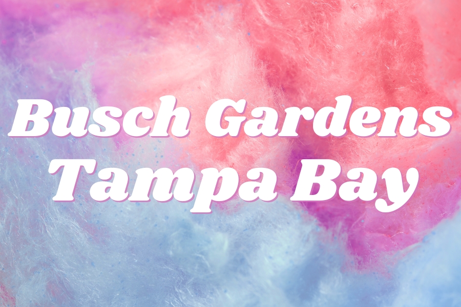 busch gardens tampa bay restaurant menus and prices